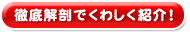 �O���U�ł��킵���Љ�I