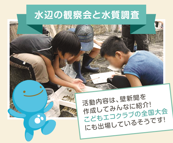 水辺の観察会と水質調査