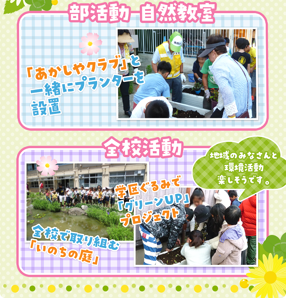 部活動 自然教室