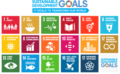 In the discussion, we referred to the United Nations’ Sustainable Development Goals (SDGs). The SDGs are 17 environmental