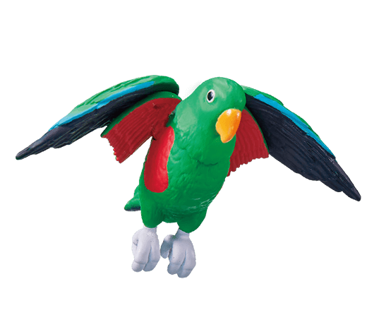 エディ(オオハナインコ)