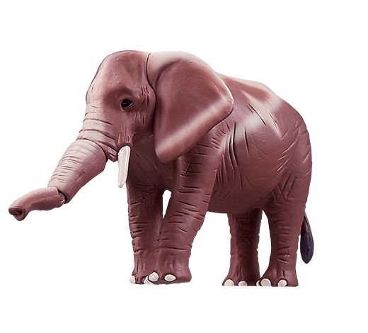 エレファ(アフリカゾウ)