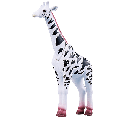 アミン(アミメキリン)