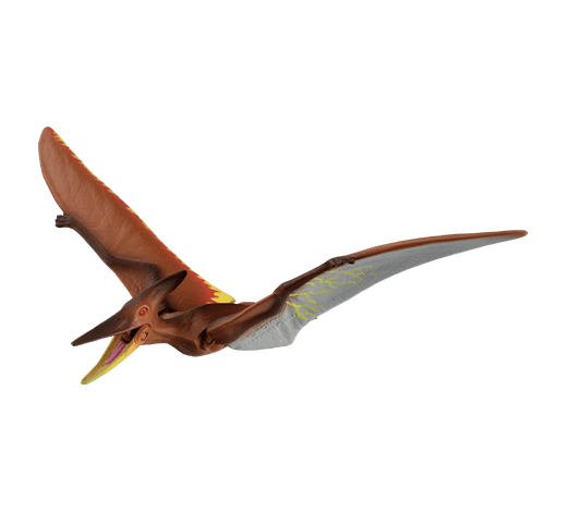 プテイラ(プテラノドン)