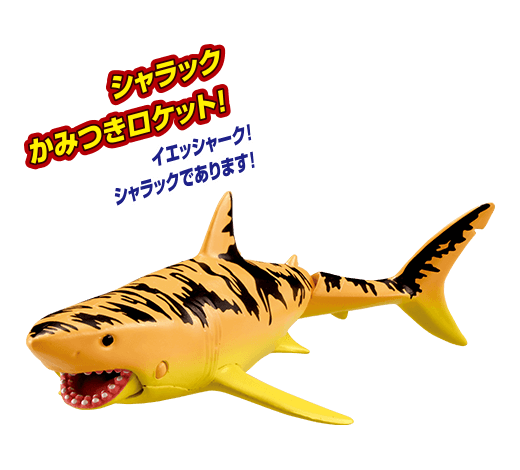 シャラック(ホホジロザメ)