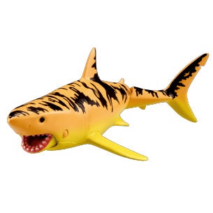 シャラック（ホホジロザメ）