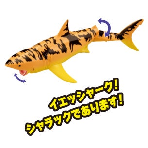 シャラック（ホホジロザメ）