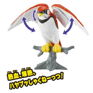 ハヤテ（ハヤブサ）