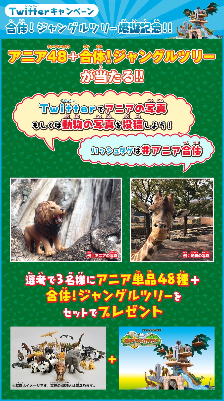 合体！ジャングルツリー爆誕記念！！ アニア48+合体！ジャングルツリーが当たる！！Twitterキャンペーン
