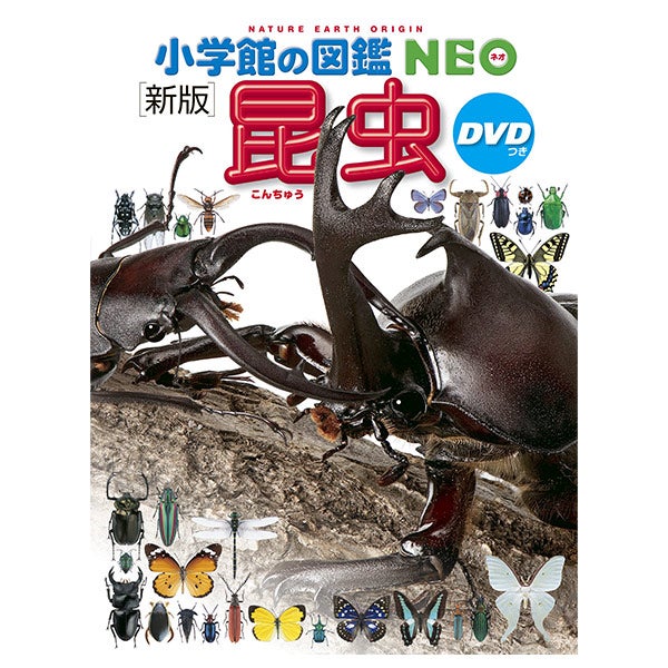 小学館の図鑑NEO「昆虫」