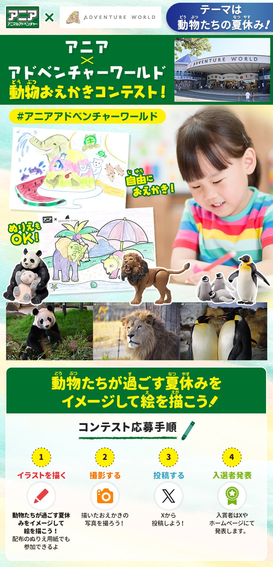 アニア×アドベンチャーワールド　動物おえかきコンテスト！コンテスト応募手順 ①イラストを描く ②撮影する ③投稿する ④入選者発表