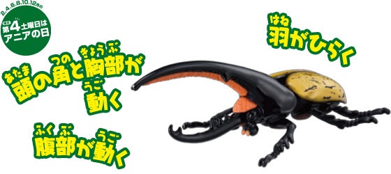 アニア　AL-17　ヘラクレスオオカブト