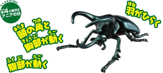 アニア　AL-18　アトラスオオカブト