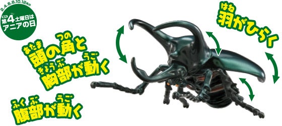 アニア　AL-18　アトラスオオカブト