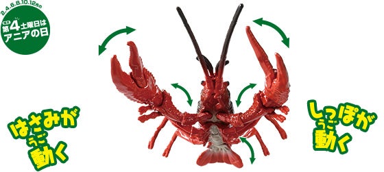 アニア　AL-31　アメリカザリガニ