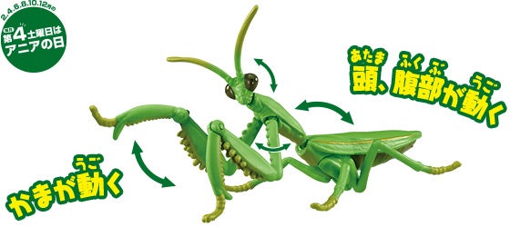 アニア　AL-32　オオカマキリ