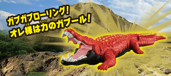 ガブール（イリエワニ）