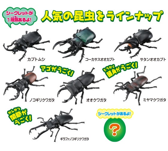 アニアくじ④ 森林の王者 昆虫コレクション