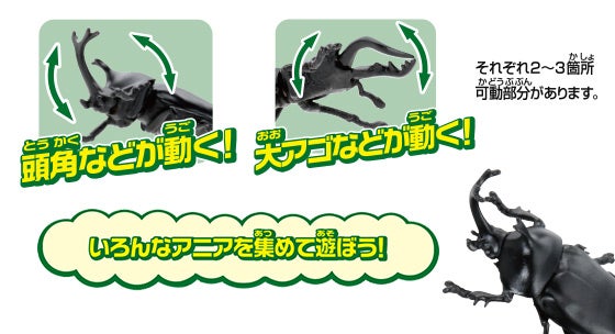 アニアくじ④ 森林の王者 昆虫コレクション