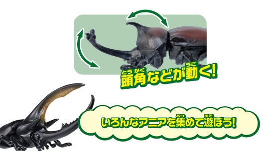 アニアくじ⑥ 森林の王者 昆虫コレクション2