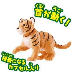 トラ（子ども）