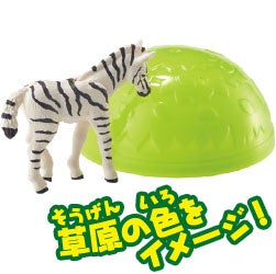 シマウマ（子ども）