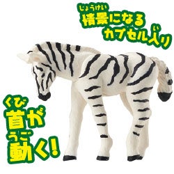 シマウマ（子ども）