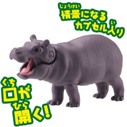 カバ（子ども）