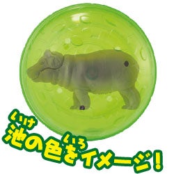 カバ（子ども）