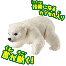 ホッキョクグマ（子ども）