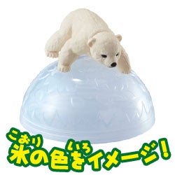 ホッキョクグマ（子ども）