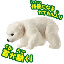ホッキョクグマ（子ども）