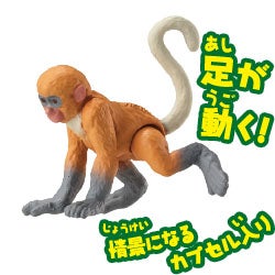 テングザル（子ども）