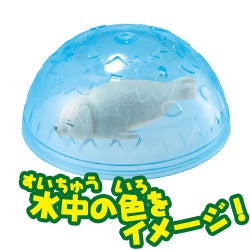 ゴマフアザラシ（子ども）