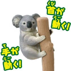 コアラ（つかまるVer.）