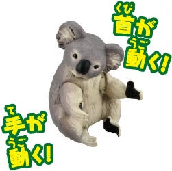 コアラ（つかまるVer.）