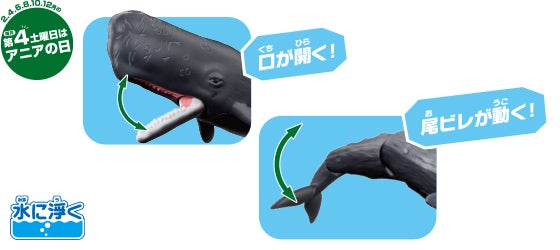 AL-34　マッコウクジラ（水に浮くVer.）