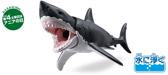 AL-13　ホホジロザメ（水に浮くVer.）