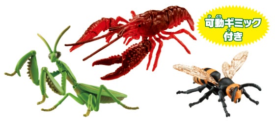 アニア　大自然の最強いきものセット