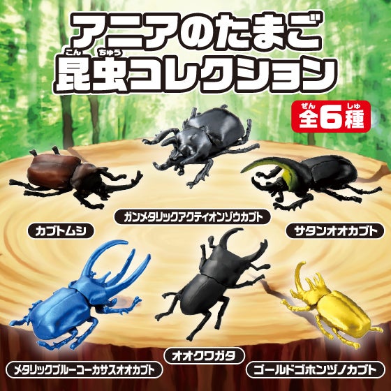 アニアのたまご　昆虫コレクション