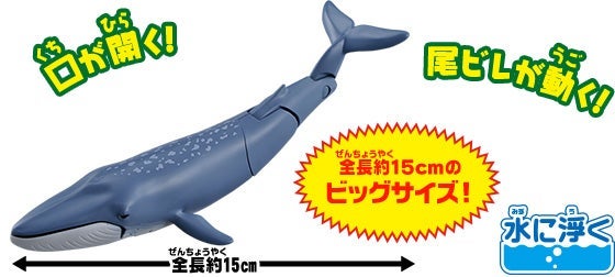 AL-23　シロナガスクジラ（水に浮くVer.）