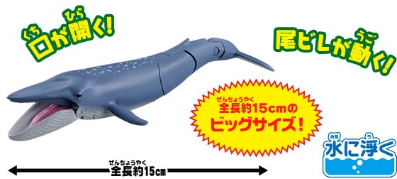 AL-23　シロナガスクジラ（水に浮くVer.）