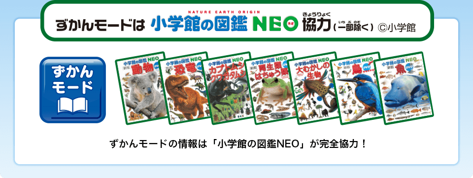 ずかんモードは小学館の図鑑NEO協力（一部除く）©小学館