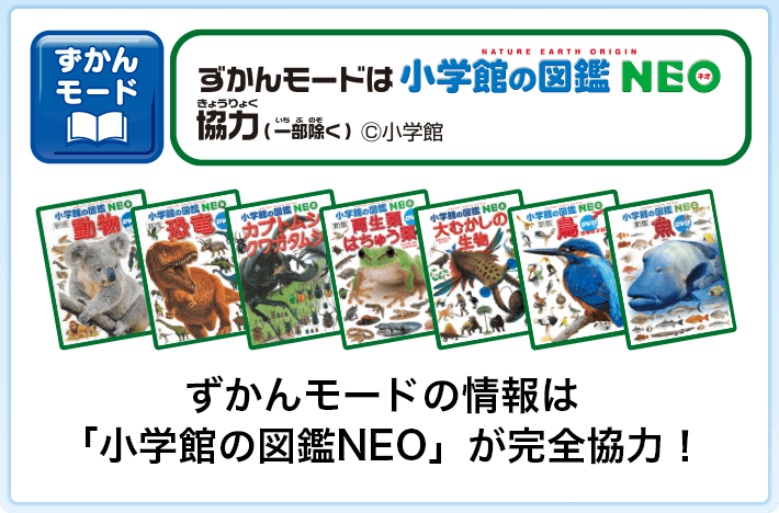 ずかんモードは小学館の図鑑NEO協力（一部除く）©小学館