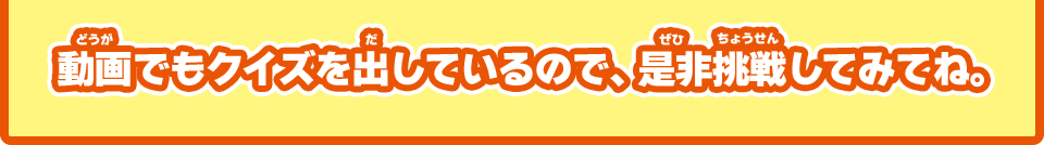 動画でもクイズを出しているので、是非挑戦してみてね。