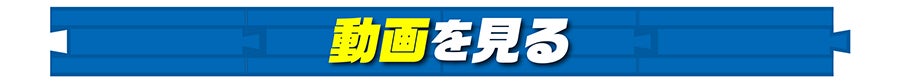 動画を見る
