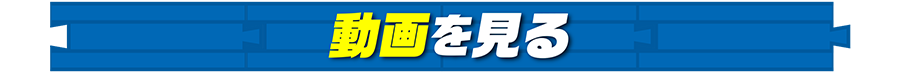動画を見る