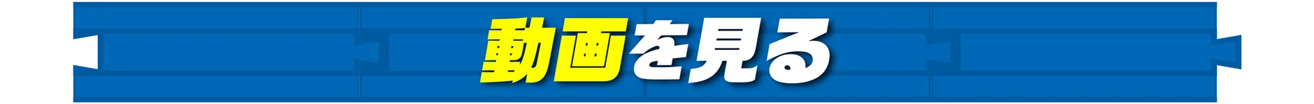 動画を見る