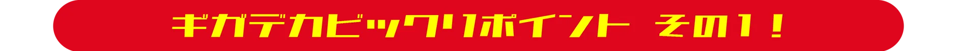ギガデカビックリポイント その１！