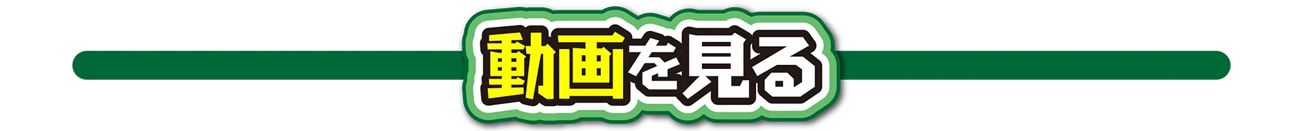 動画を見る